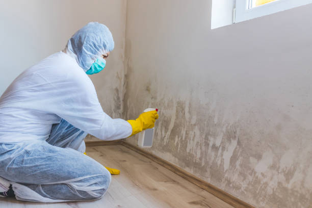 Mold inspector in Rancocas performing thermal imaging