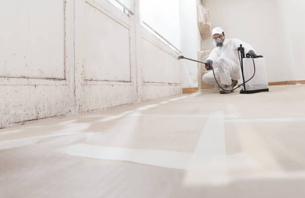 Black mold remediation team in Rancocas